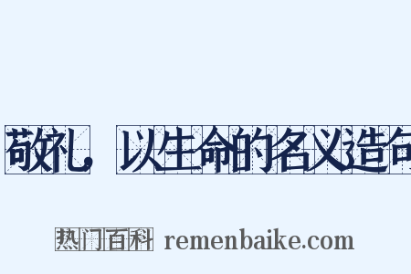 敬礼，以生命的名义造句是什么意思的图片